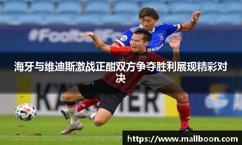 海牙与维迪斯激战正酣双方争夺胜利展现精彩对决