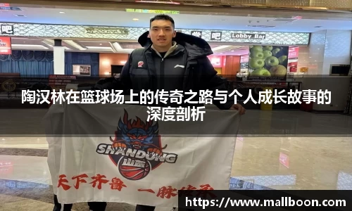 陶汉林在篮球场上的传奇之路与个人成长故事的深度剖析
